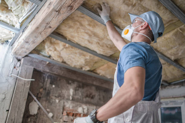 Best Residential Insulation in Greer, SC